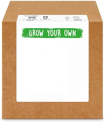 Quinergys VXI-848-Lemon - Just Add water Grow Kit Seed(36 per packet)