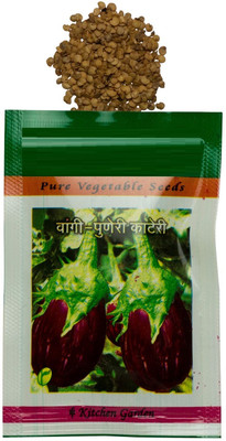 Qualtivate RES-6A Brinjal (Eggplant/Vangi) -Puneri Kateri Seed(300 per packet)