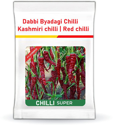 WILLVINE NKR -I Super Chilli seeds | Byadgi chilli seeds[10gm, 2000 Seeds] Seed(2000 per packet)