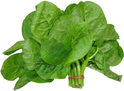 VibeX LX-81 - Malabar Spinach - (750 Seeds) Seed(750 per packet)
