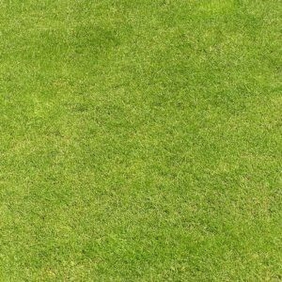 EcoFusion Bermuda Grass Seeds, Lawn Grass Seeds For Home Garden Seed(100 per packet)