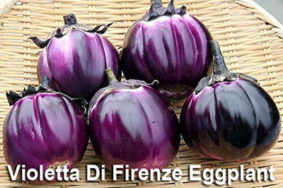 Qualtivate AXL-1AT Brinjal Mix 4 Varieties Seed(300 per packet)