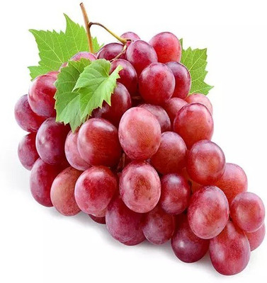 PASCLE Super Sweet Red Grape Seed(100 per packet)