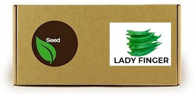 CYBEXIS Lady Finger Okra800 Seeds Seed(800 per packet)