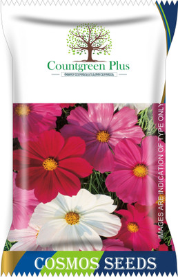 Countgreen Plus Cosmos Flower Seeds Seed(100 per packet)