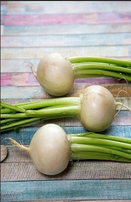 Quentova White Ball Turnip/Shalgam-NCS-5X Seed(200 per packet)