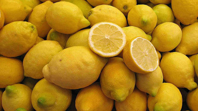 Aywal Citrus Limon (Lemon) Seed(22 per packet)