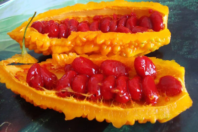 CYBEXIS XLL-52 - Chinese Bitter Melon Gourd - (100 Seeds) Seed(100 per packet)