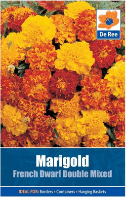 CRGO CALENDULA Seed(20 per packet)