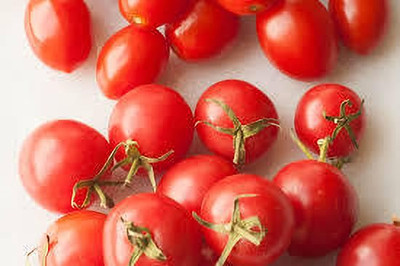 XOLDAA hybrid f1 quality tomato seeds Seed(20 per packet)