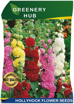 Greenery Hub Hollyhock Flower Seeds - Towering Blooms for a Classic Garden Look Seed(50 per packet)