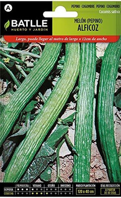 KNESSiN Cucumber Alficoz Seed(200 per packet)