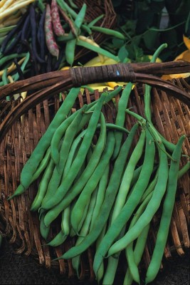 KNESSiN French Beans Seed(400 per packet)