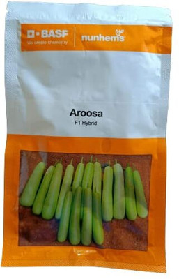 DIVINE SPONGE GOURD Seed(90 per packet)