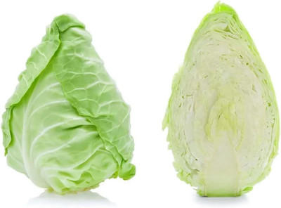 WILLVINE AGRI -VI Charleston Wakefield Cabbage Seeds [50g] Seed(15000 per packet)