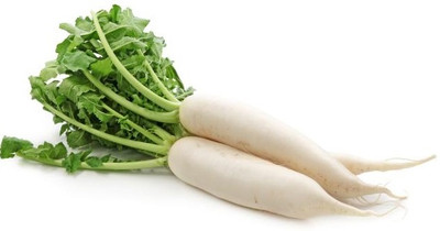 XOLDA Radish Seed(97 per packet)