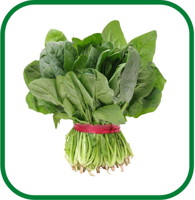 VibeX ® LXI-434 Rich Palak Or Indian Spinach Seed(500 per packet)
