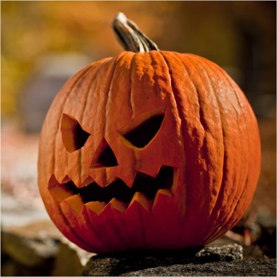 Biosnyg YRS-52 Jack O' Lantern Pumpkin (Cucurbita Pepo)-[400 Seeds] Seed(400 per packet)