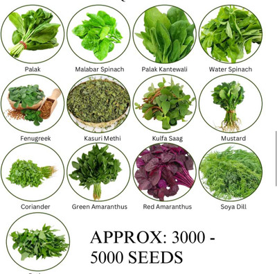 Hothanger Vegetable Seed Seed(100 per packet)