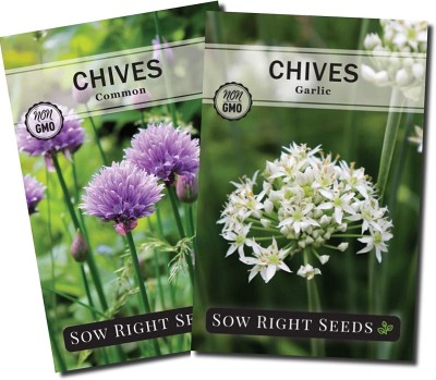 VibeX PAU-96 - Common Chives and Garlic Chives - (750 Seeds) Seed(750 per packet)