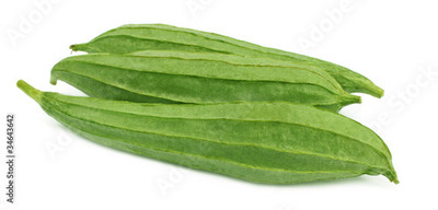Paudhaa FI QUALITY RIDGE GOURD Seed(10 per packet)