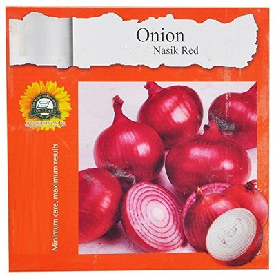 KNESSiN Onion Nasik Red[600 Seeds] Seed(600 per packet)
