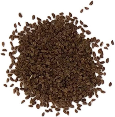CYBEXIS VVI-4 - Celery Tall Utah - (750 Seeds) Seed(750 per packet)