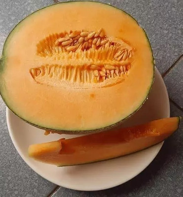 Avysa Muskmelon Cataloupe Melon Seed(100 per packet)
