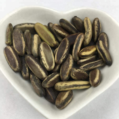 Garden Basket Hubb Gulmohar Seeds/Ornamental tree seed/Avenue Tree seed/Delonix regia seed Seed(400 per packet)