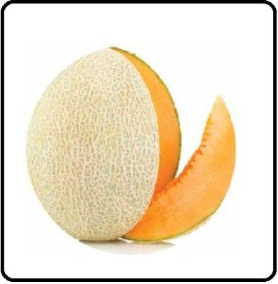 WILLVINE TLX-79 Muskmelon Kharbuja seeds for Planting Seed(400 per packet)
