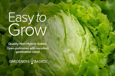 Qualtivate AXL-1AT Iceberg Lettuce Seeds Seed(300 per packet)