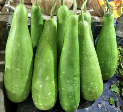 UGRA Bangladeshi Hazari Hybrid Long Bottle Seed(20 per packet)