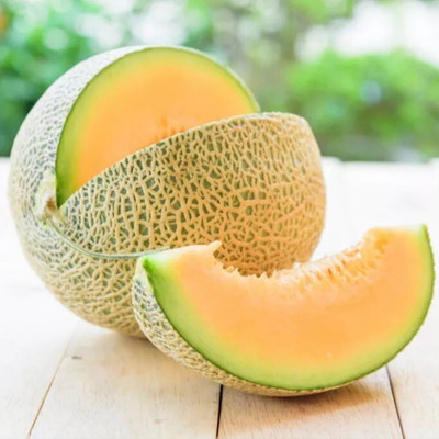 Quentova Muskmelon Cataloupe Melon-ROC-9A Seed(150 per packet)