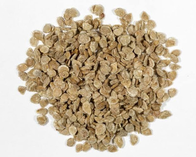 Gilahare Tomato Seeds Seed(45 per packet)