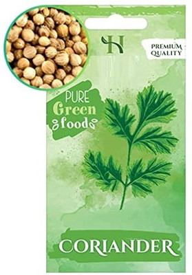 CYBEXIS F1 Hybrid Herbs Seeds-Coriander2800 Seeds Seed(2800 per packet)