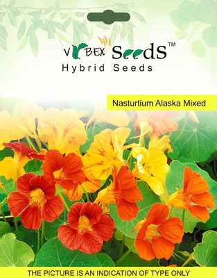 CYBEXIS Nasturtium Mix Flower Seeds Seed(1 g)