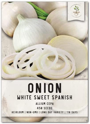VibeX NBIR-25 - White Sweet Spanish Onion - (4500 Seeds) Seed(4500 per packet)
