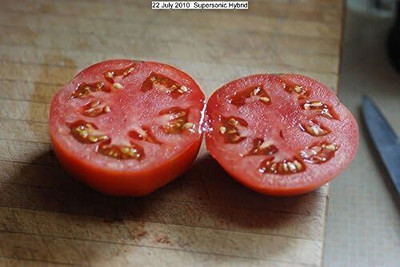 Qualtivate ICRA6-A Tomato- Supersonic Seed(300 per packet)