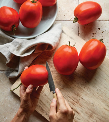 Biosnyg Hybrid Super Sauce Large Tomato Seeds For Gardening - (2000 Seeds) Seed(2000 per packet)