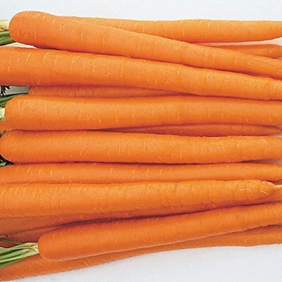 VibeX ® RXI-453 Carrot Seeds, Tendersweet Seed(500 per packet)