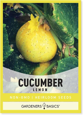 Qualtivate ICRA-7A Lemon Cucumber Seeds Seed(300 per packet)