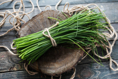 CYBEXIS LX-13 - Hybrid Chives - (2250 Seeds) Seed(2250 per packet)