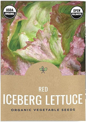 CYBEXIS KGF -88 - Red Iceberg Lettuce - (1350 Seeds) Seed(1350 per packet)