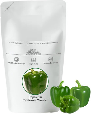 VibeX LX-13 - Premium Hybrid Green Capsicum - (1350 Seeds) Seed(1350 per packet)