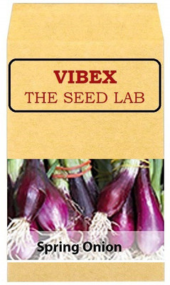 CYBEXIS Spring Onion Hybrid Seeds-500 Seeds Seed(500 per packet)