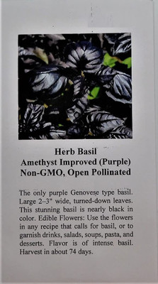 Qualtivate XLL-20 Amethyst Improved Basil Seed(1000 per packet)