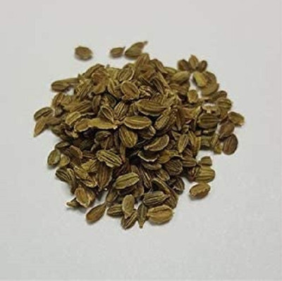 CRGO GAAJAR, CARROT Seed(2250 per packet)
