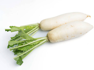 Kodali Hybrid F1 Radish Seeds Pack Of 23 Seed(23 per packet)