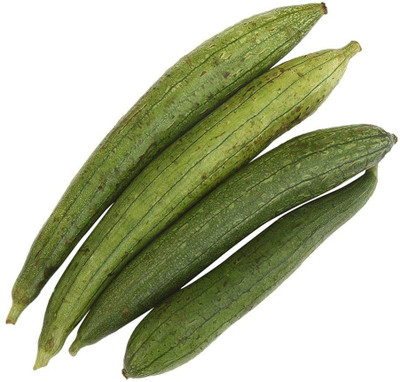 WILLVINE VVI-139 Sponge Gourd Vegetable F1 Hybrid Seeds Seed(50 per packet)
