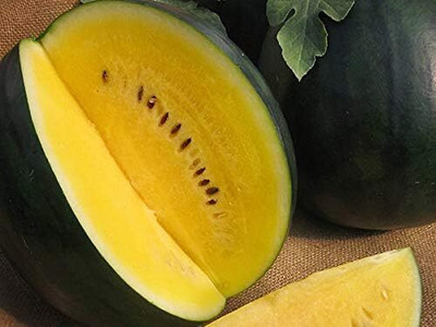 Biosnyg Open-Pollinated Yellow Giant Watermelon Seeds for Terrace Gardening-(100 Seeds) Seed(100 per packet)